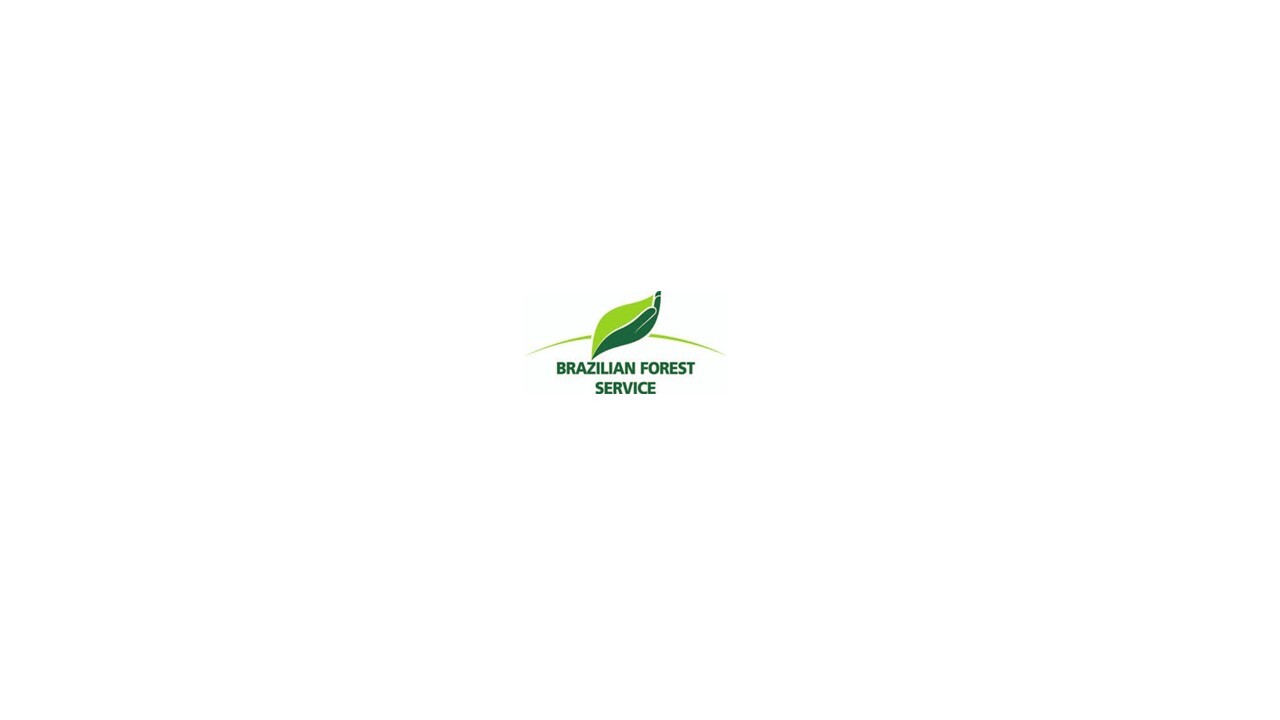 Brazilforest