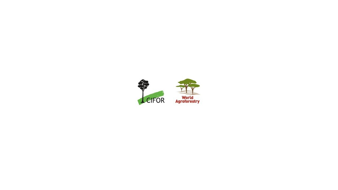Cifor3