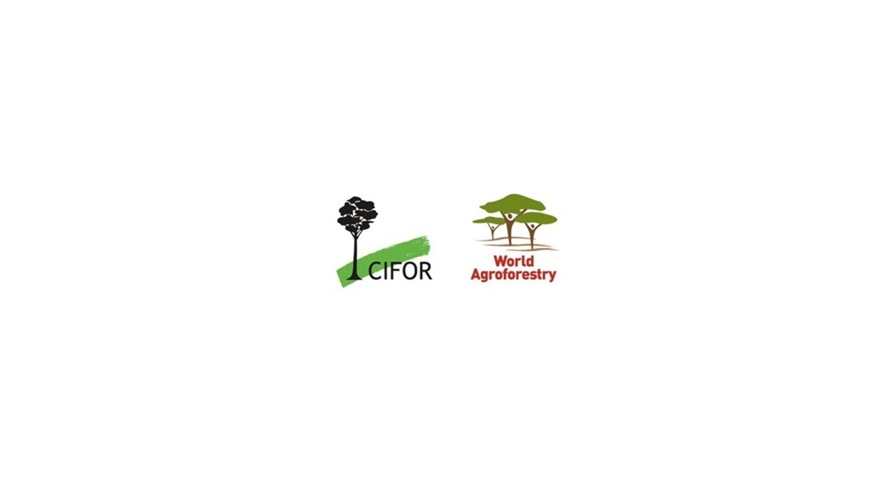 Ciforbog