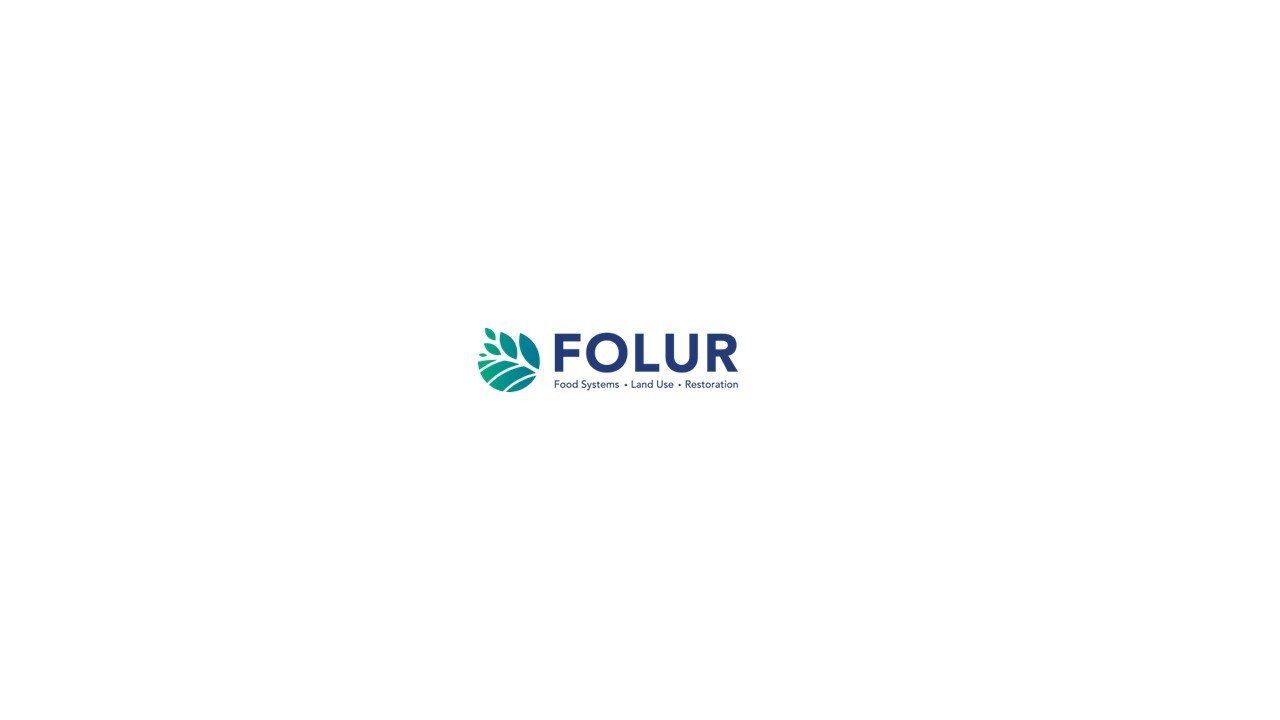 Folur