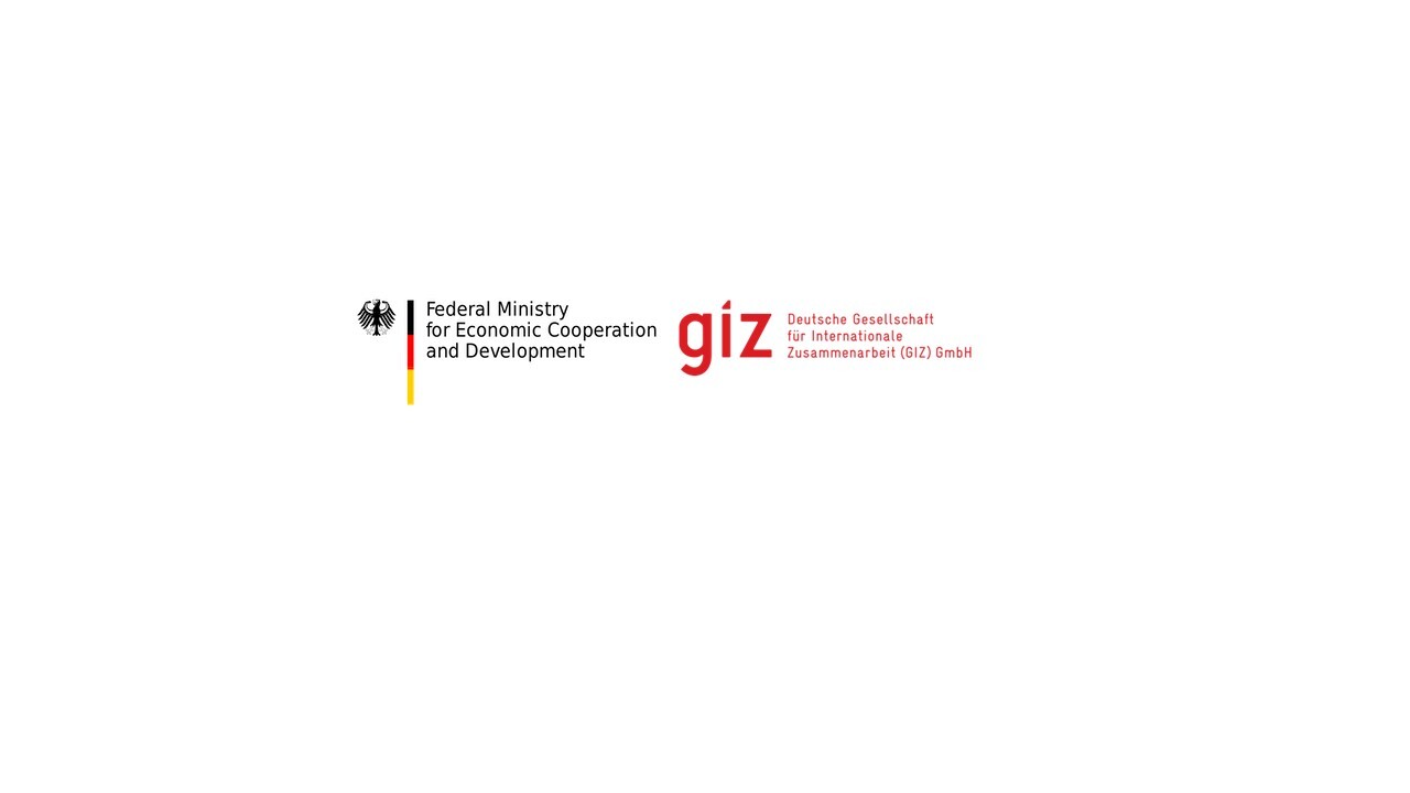 Gizfedmin