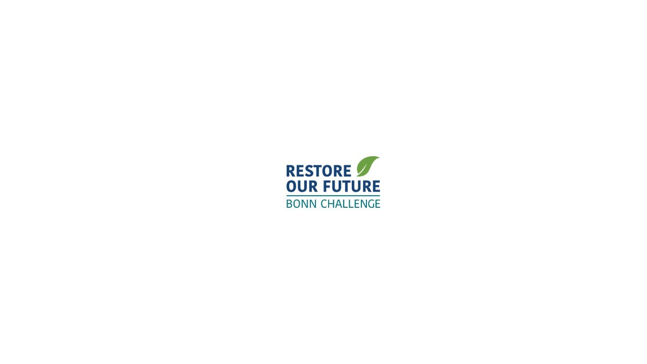 Restorefuture