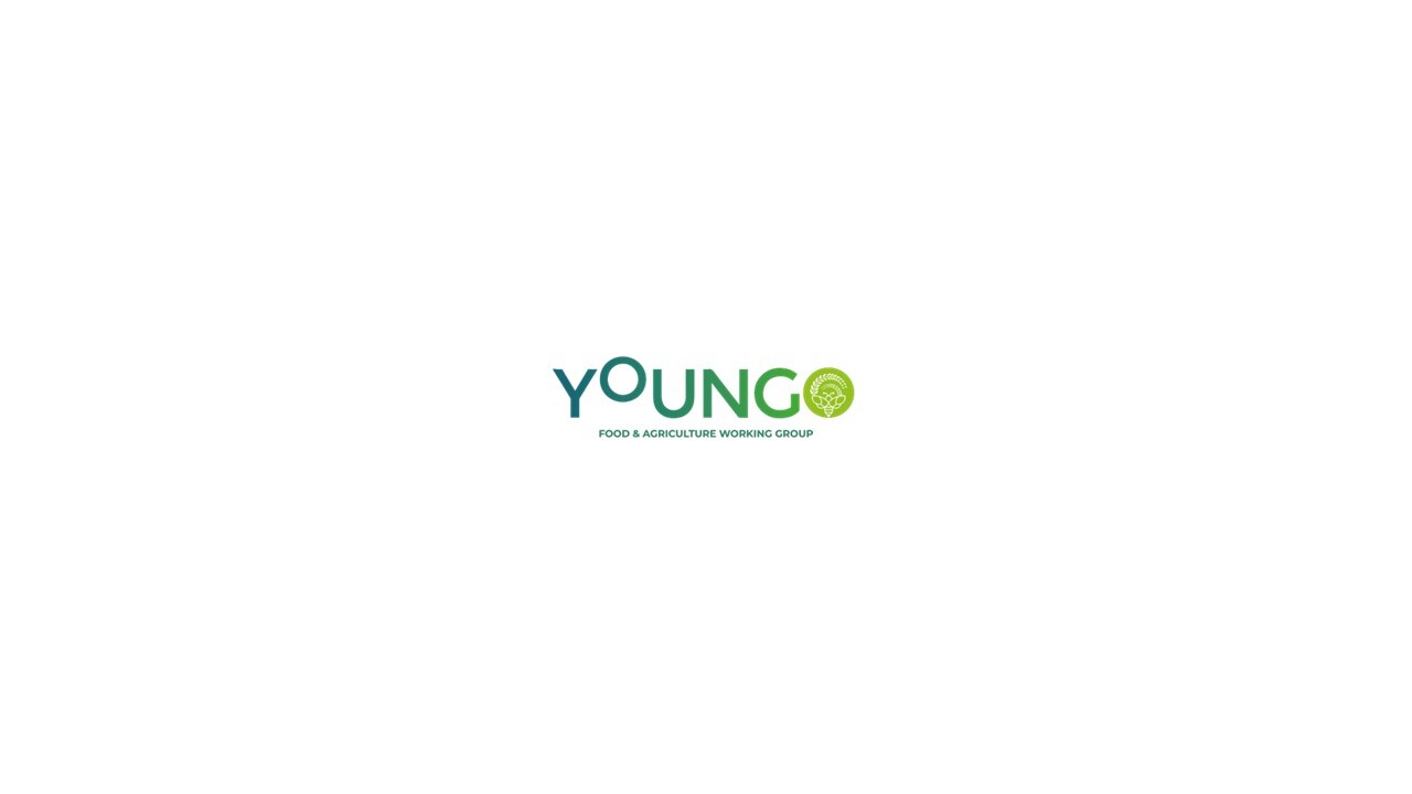 Youngo