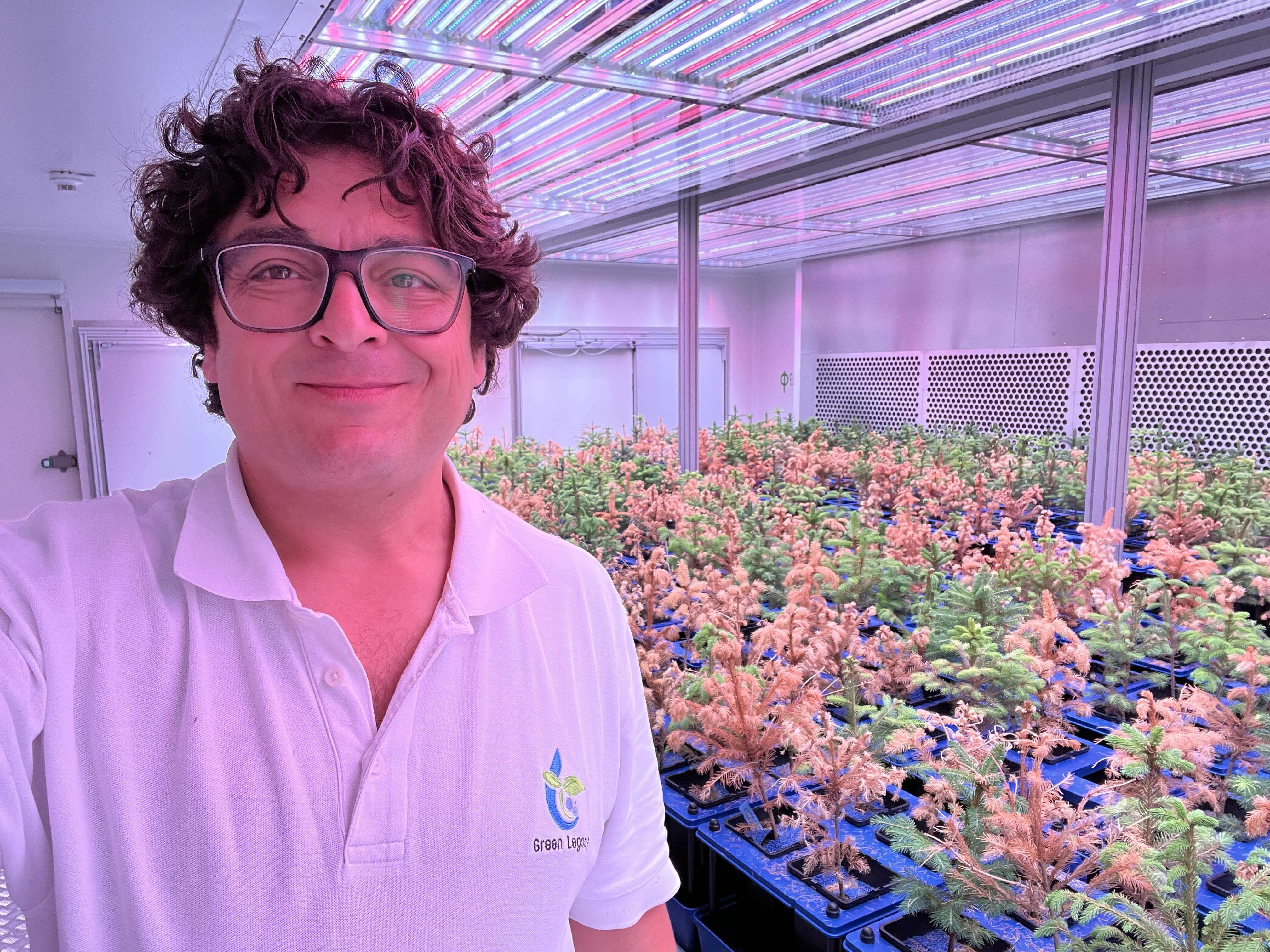 Enrique Phenoplant