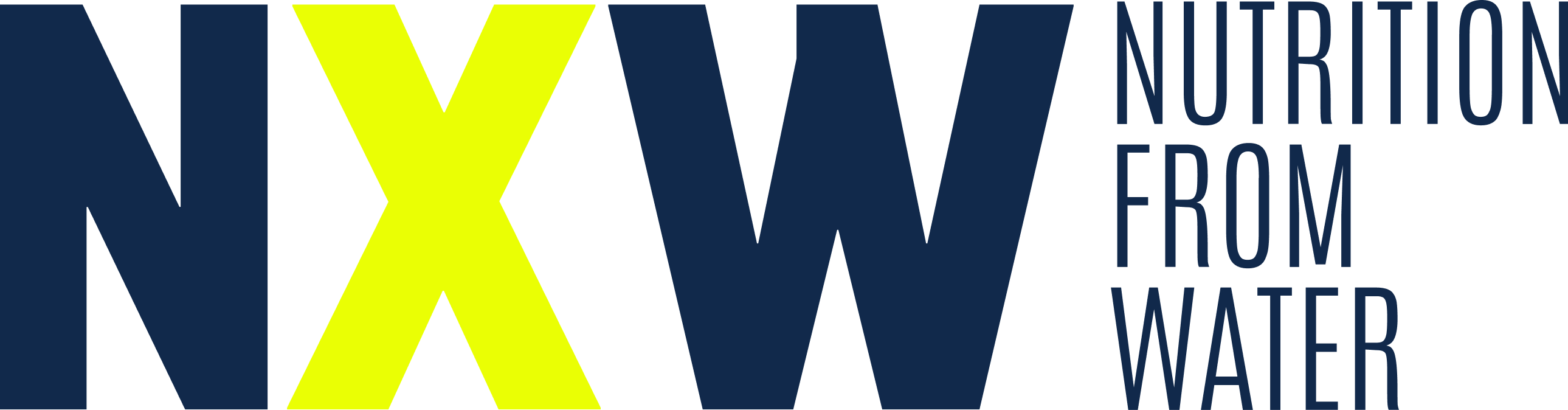 NXW Logo Main
