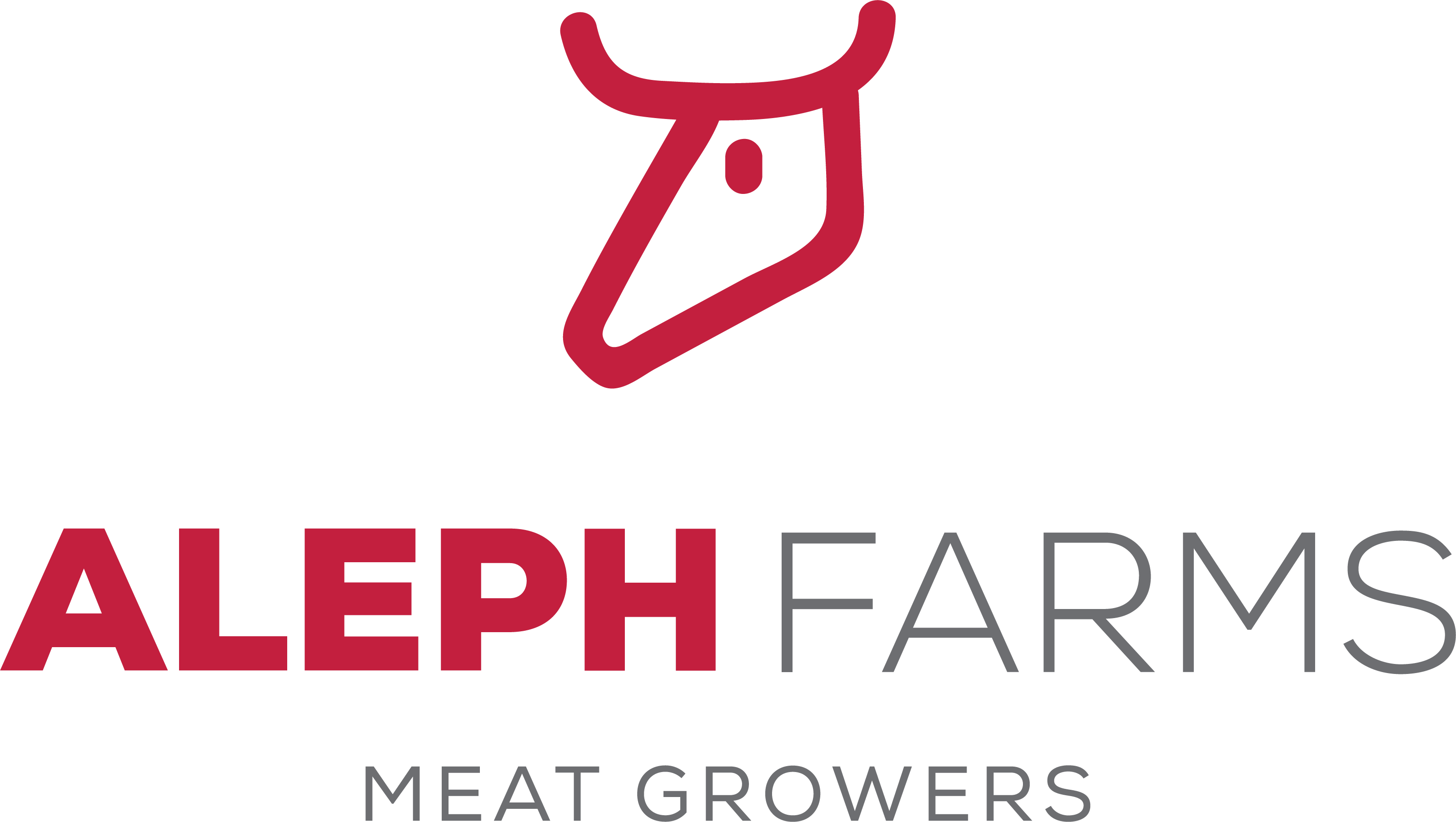 Aleph Logo