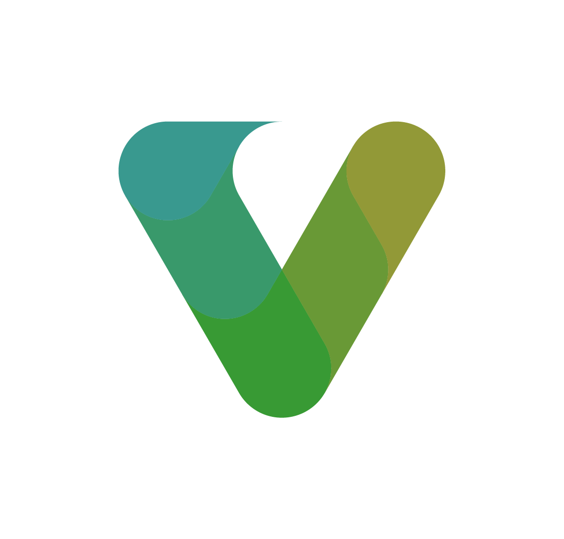 Veridi Technologies Ziad CEO