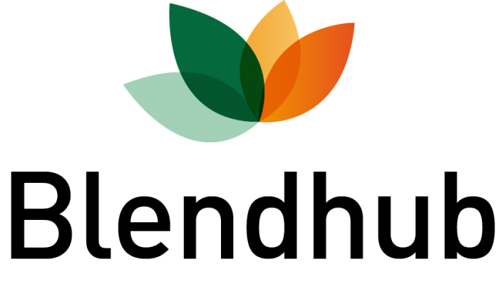 Logo blendhub portrait